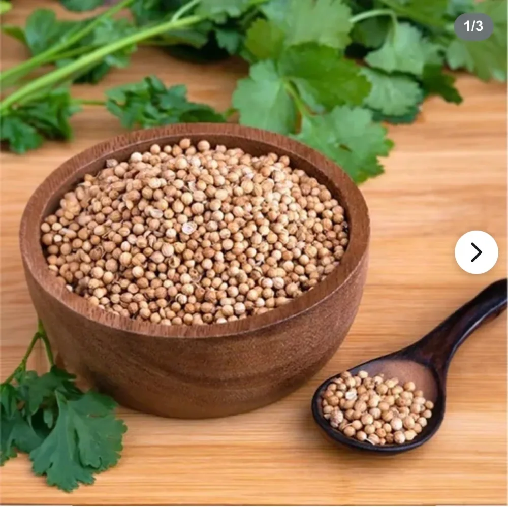Organic Coriander Whole Seeds - Food & Agriculture by Sakha Exporter