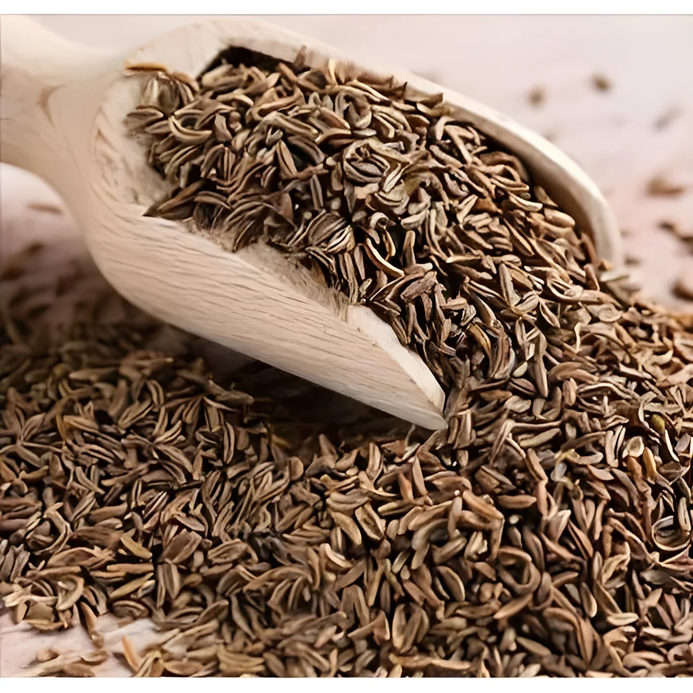 Bulk Cumin Seeds - Food & Agriculture by Hardya Foods