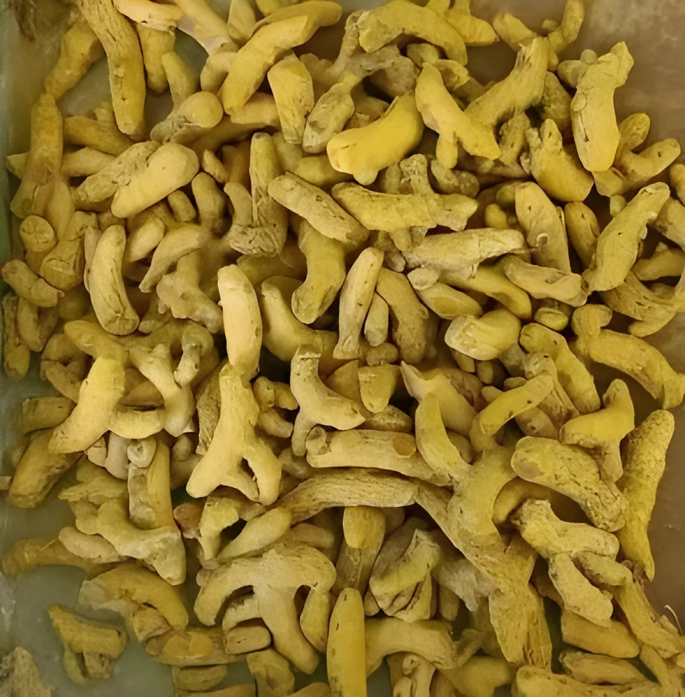 Kasturi Turmeric Whole - Food & Agriculture by Universal Agro Trader