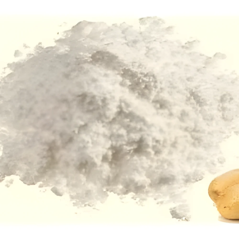 Bulk Dehydrated Potato Powder - Food & Agriculture by Rudra Foods