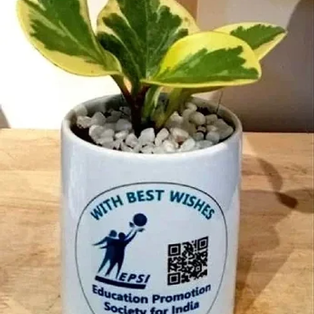 Customized Logo Printed Ceramic Plant Pot - Home & Kitchen by Cerra and Terra Home Decor