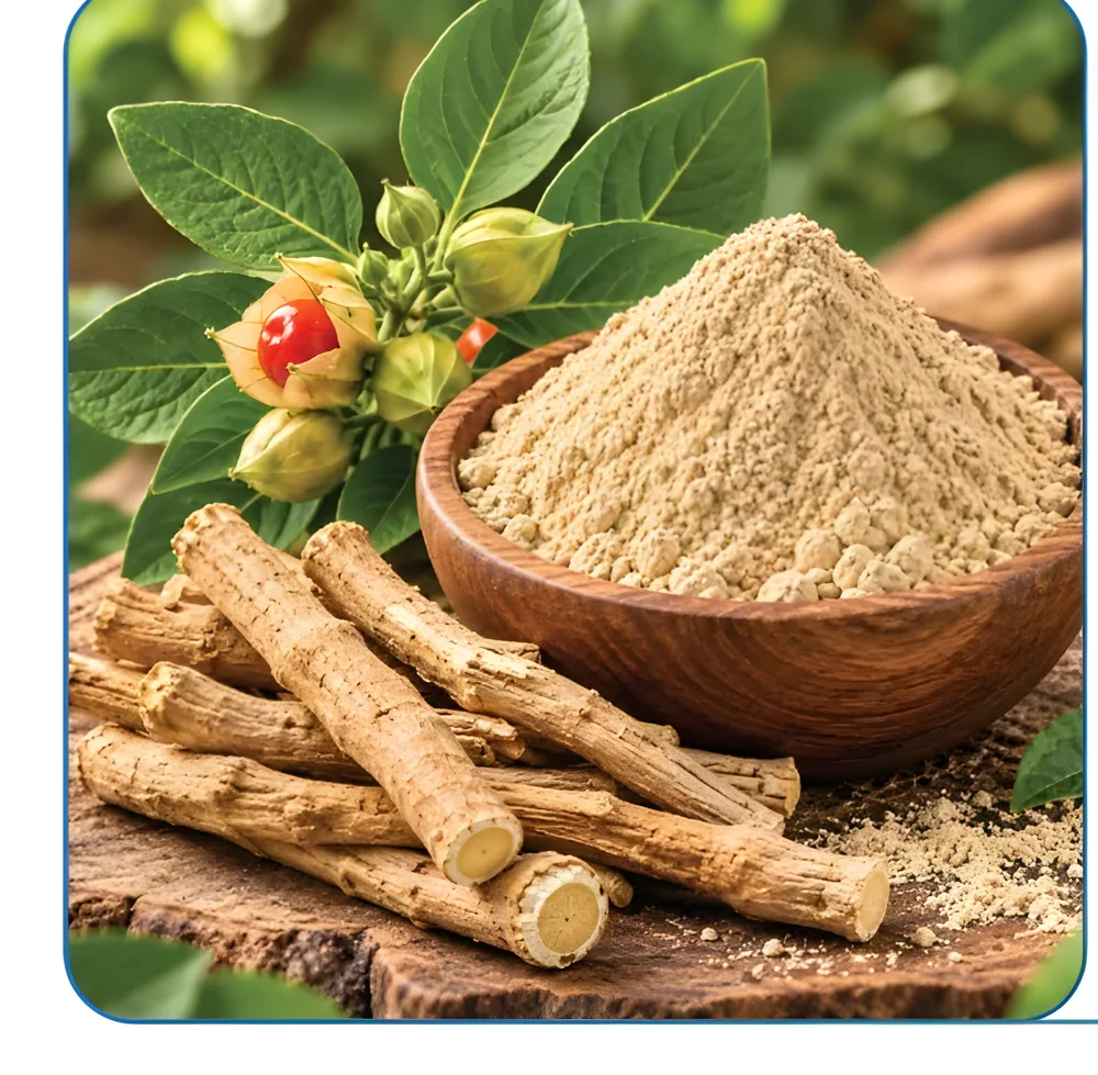 Withanolides 15% Ashwagandha Extract Powder - Chemicals & Raw Materials by M/S. Riverline Lifesciences & Herbals Pvt. Ltd.