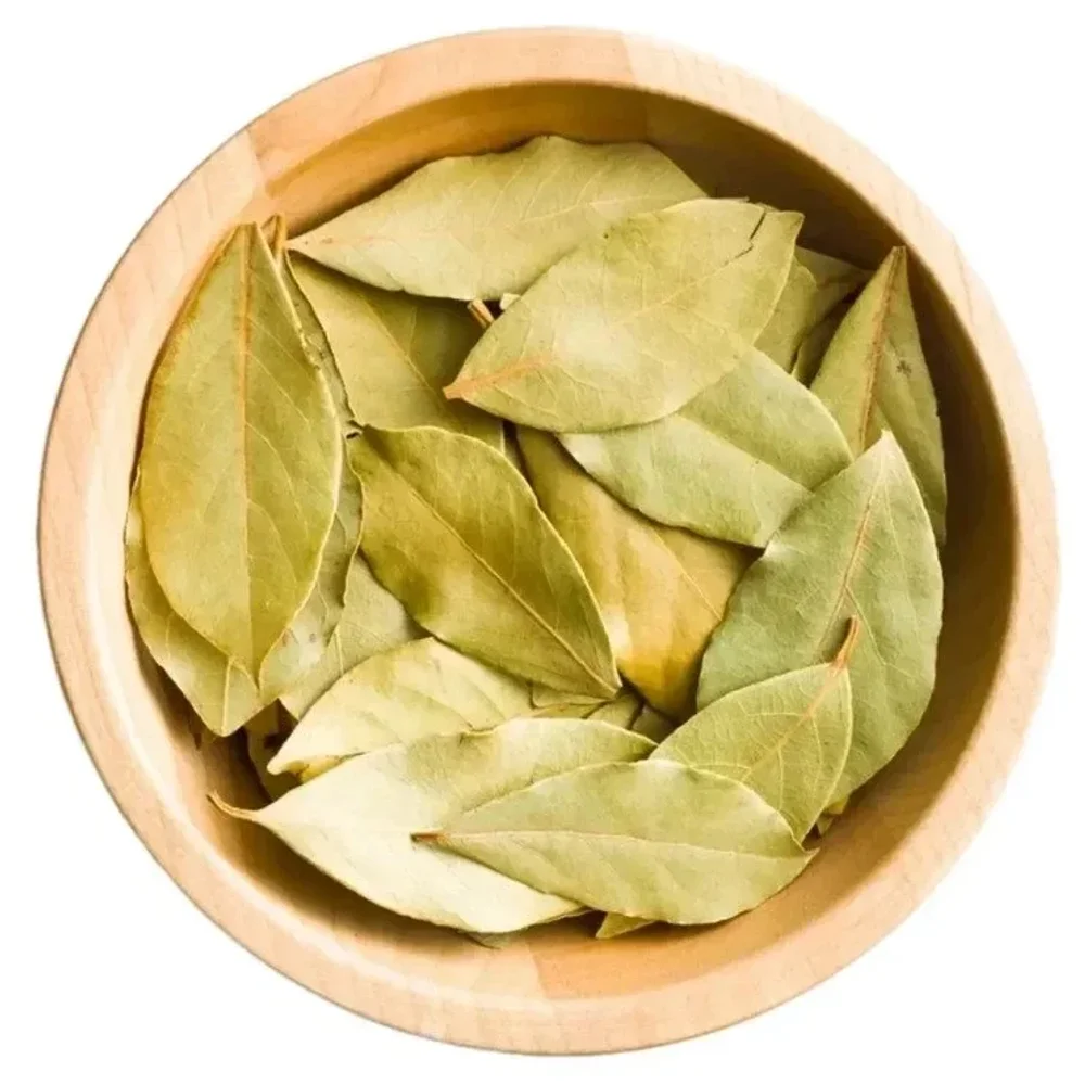 Premium Whole Bay Leaf - Food & Agriculture by Pachu's World Connect (PWC)