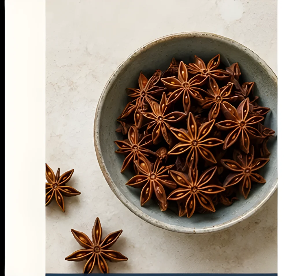 Premium Whole Star Anise - Food & Agriculture by Globus Global Trade Import and Export