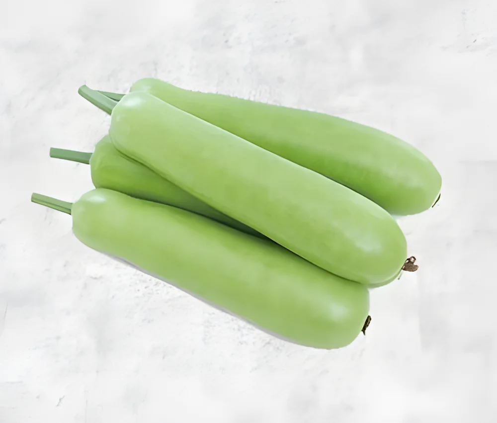 Wholesale Fresh Bottle Gourd (Lauki / Doodhi) - Food & Agriculture by Shyamrao Enterprises