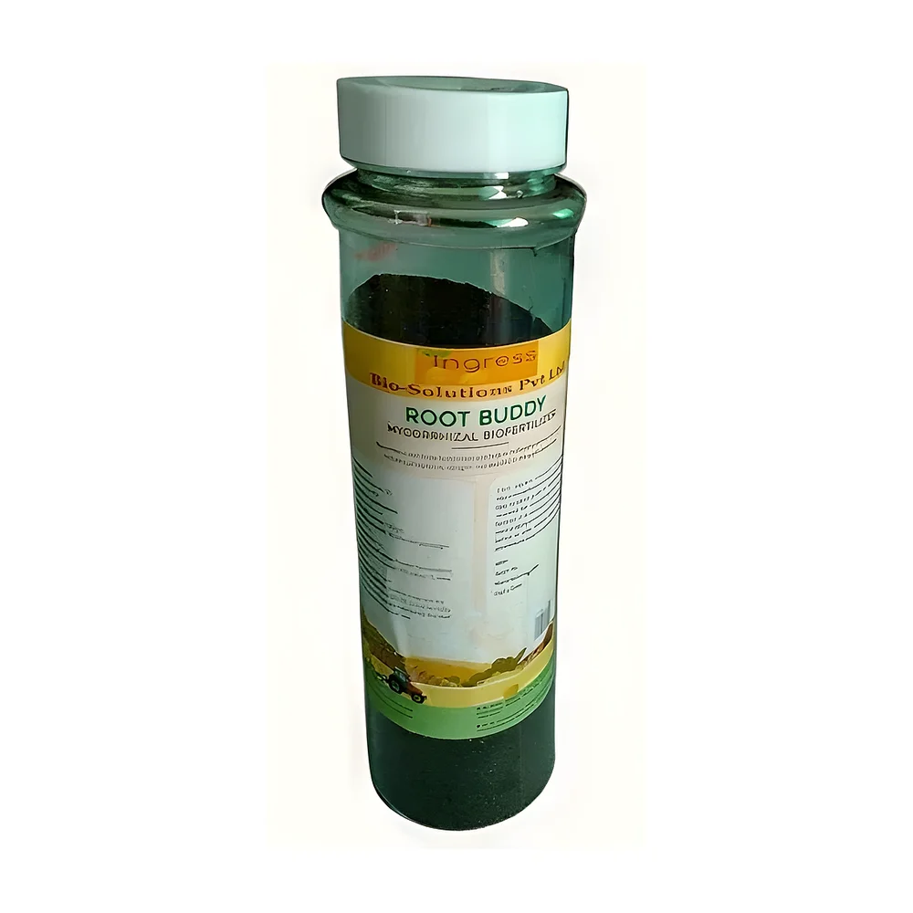 ROOT BUDDY Mycorrhizal Biofertilizer Powder - Chemicals & Raw Materials by Ingress Biosolutions Pvt. Ltd.