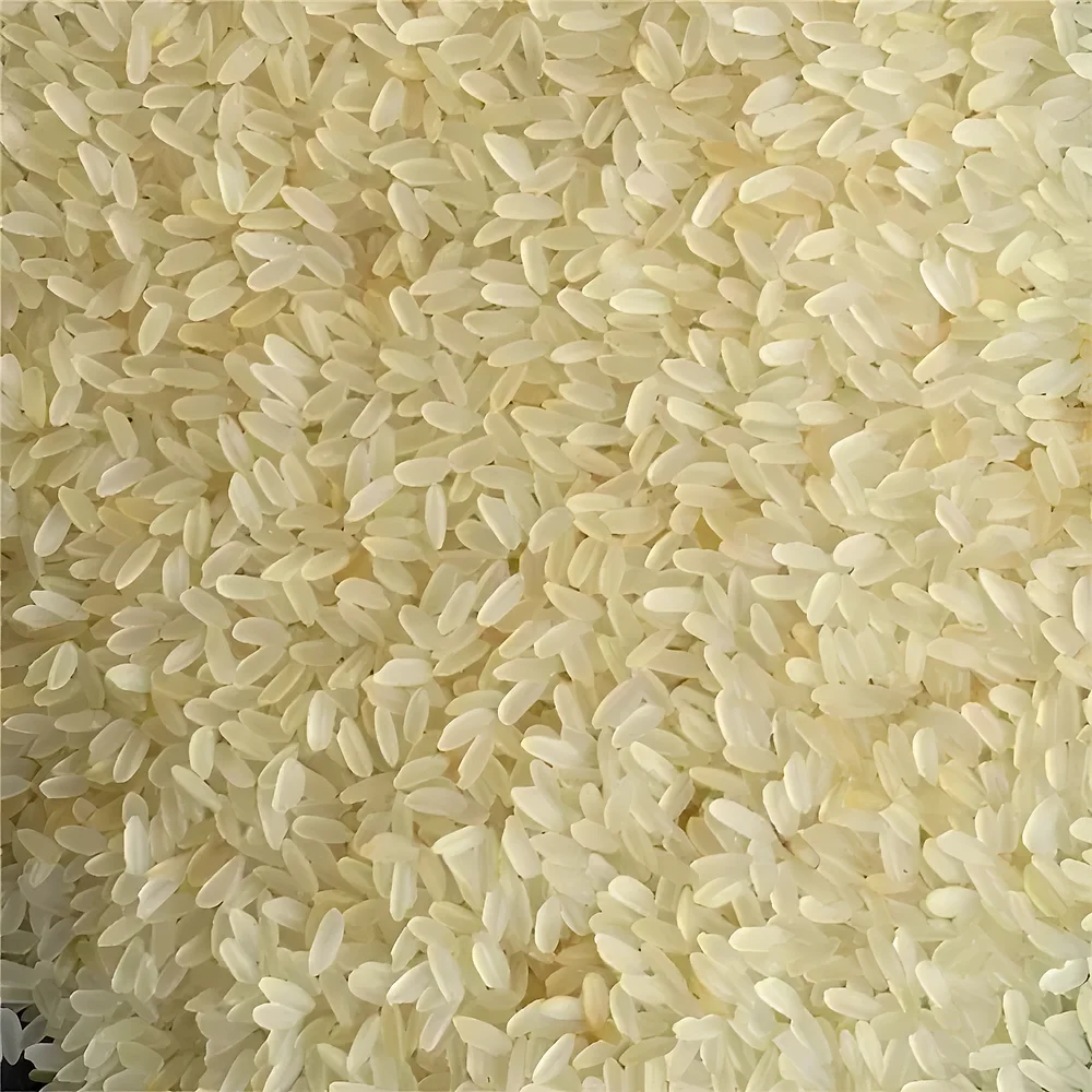 Parboiled Swarna Rice - Food & Agriculture by Tradecart Overseas Pvt. Ltd.
