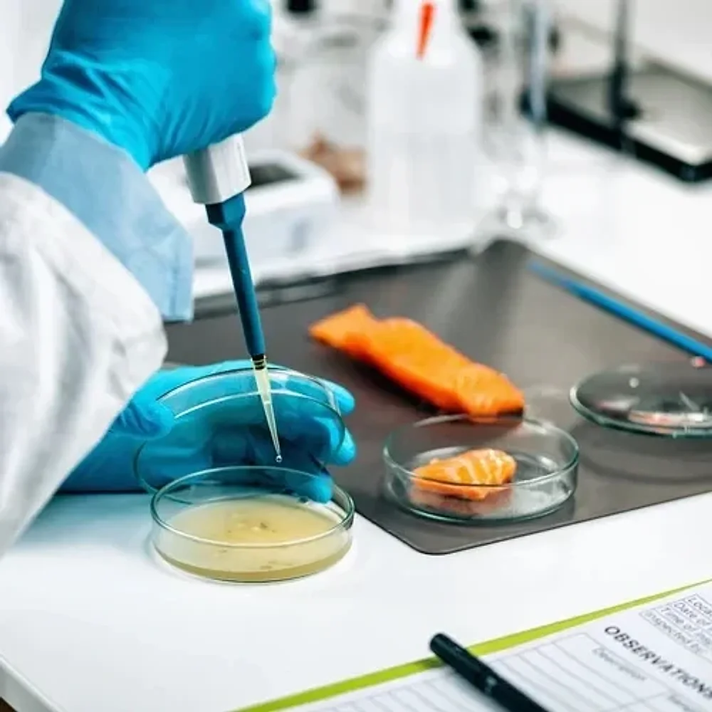 GM Product Microbiological Testing - Business & Professional Services by Elshaddai Aradhna Group