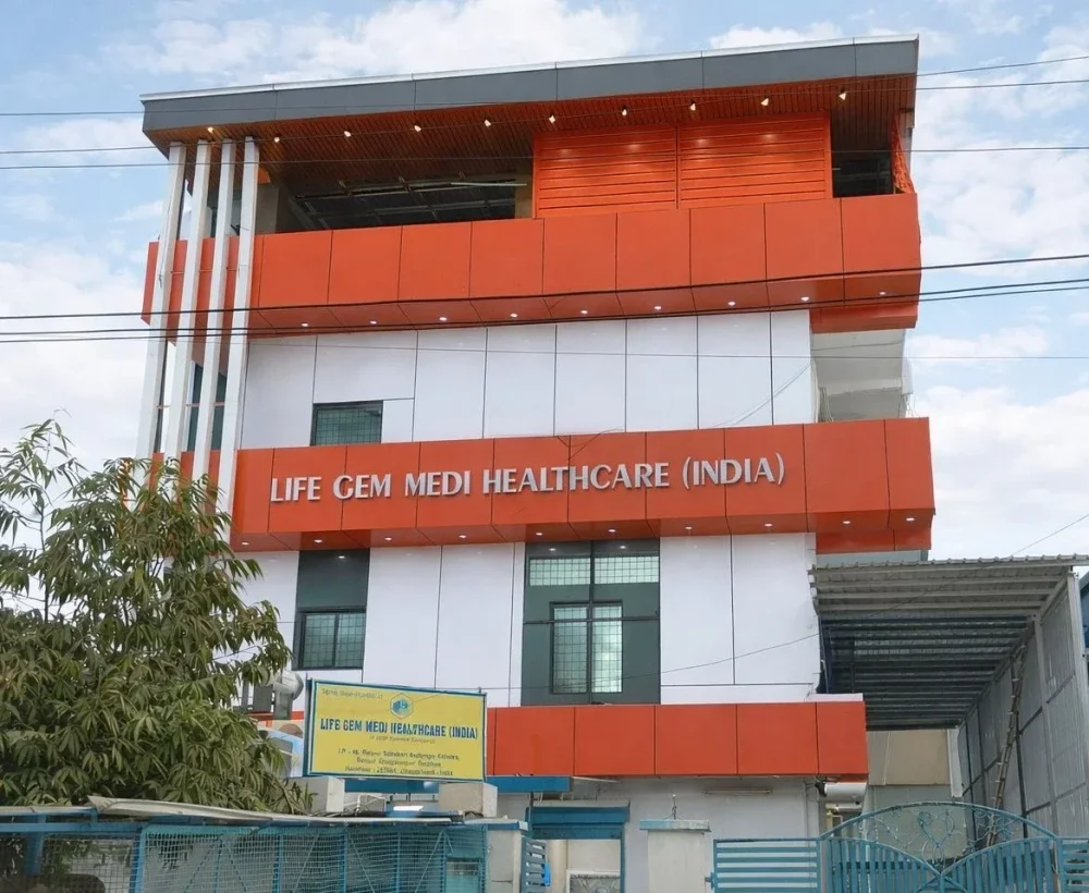 Pharma Third Party Manufacturing - Business & Professional Services by Lifegem Medi Healthcare India