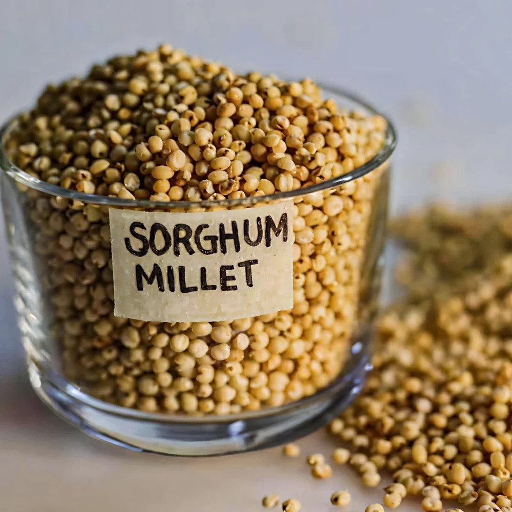 Sorghum Millet (Jowar) - Food & Agriculture by Ali Agri Export