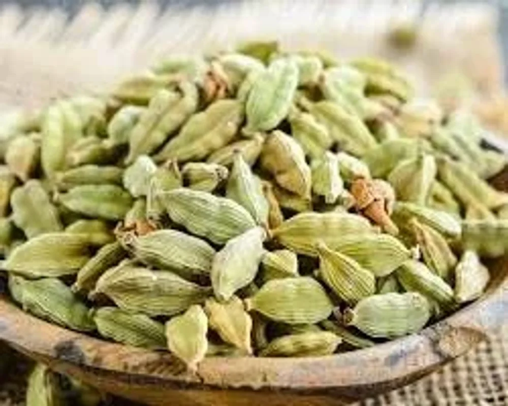 Green Cardamom for Bulk Supply - Food & Agriculture by PranExpo