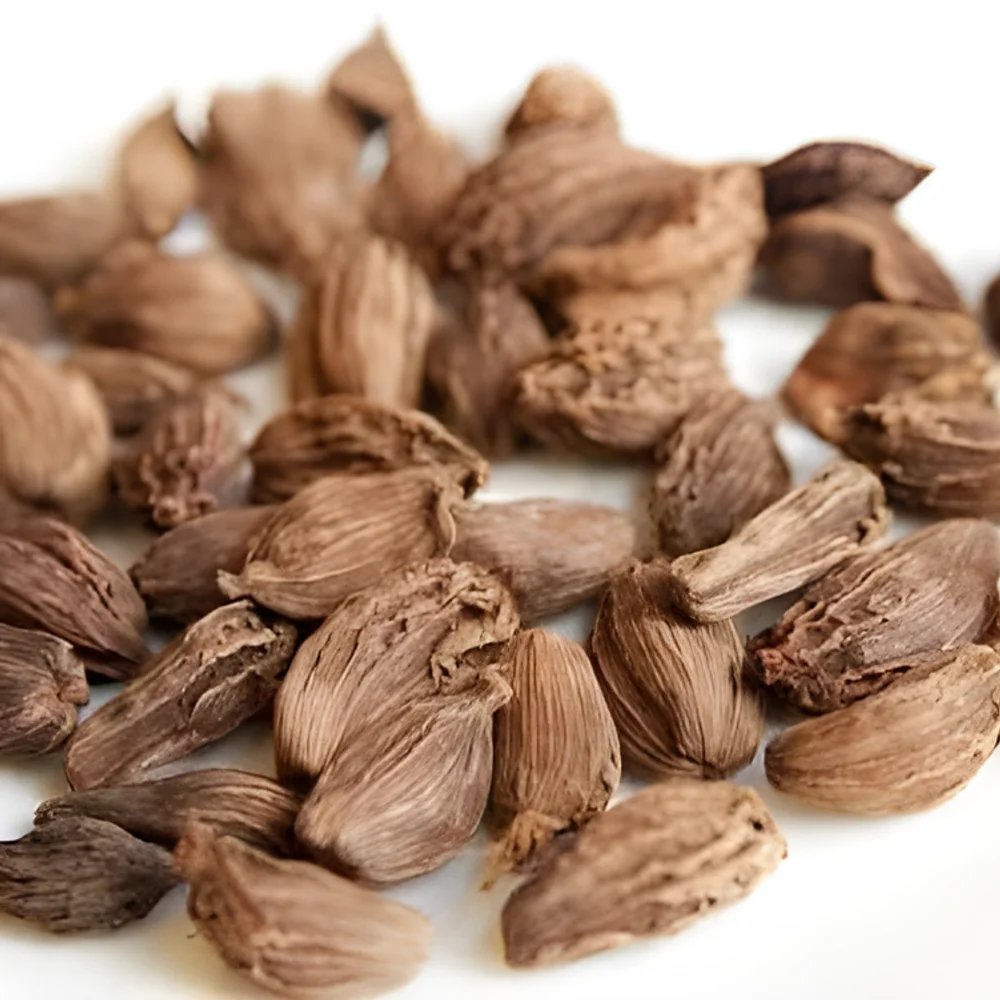 Black Cardamom Spices - Food & Agriculture by M/S. Capital Enterprise