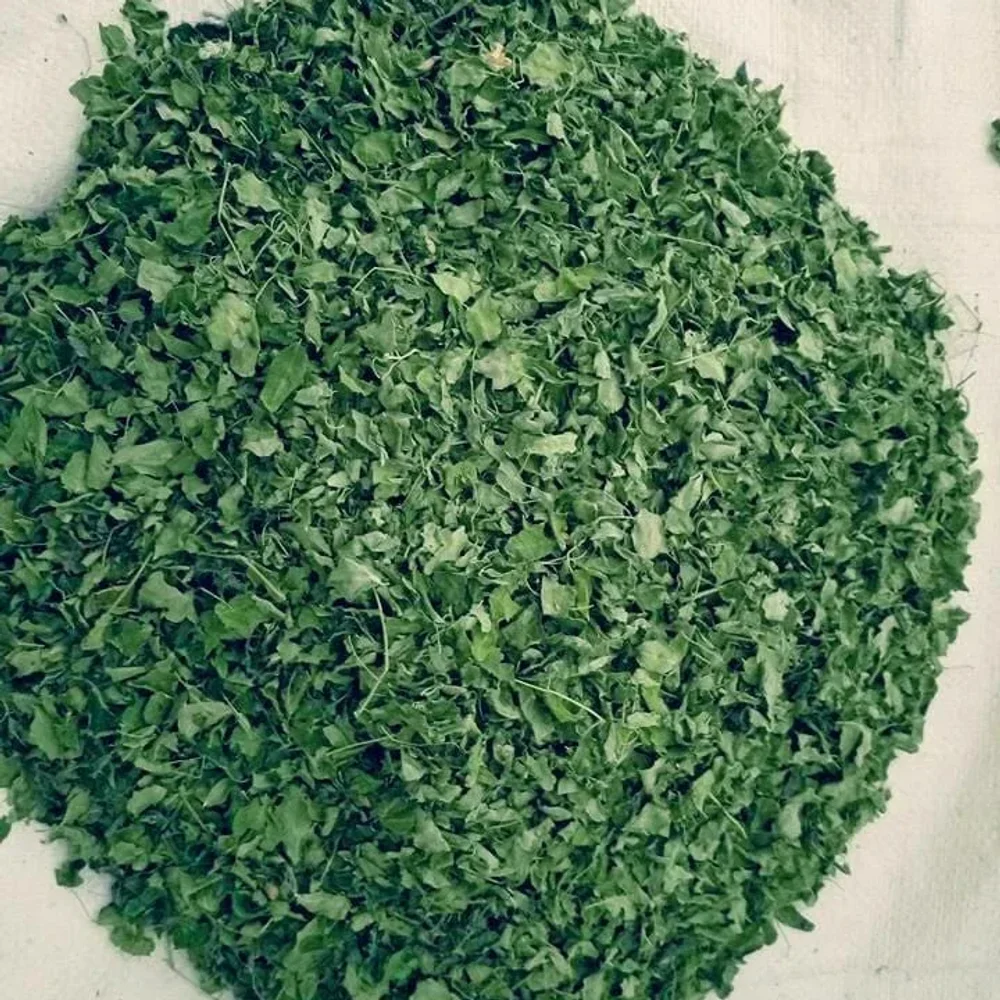 Dried Moringa Leaves - Food & Agriculture by Svm Organics Pvt. Ltd.