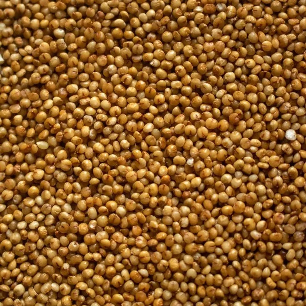 Kodo Millet Seeds - Food & Agriculture by Ag Steel and Food Ventures Pvt. Ltd.