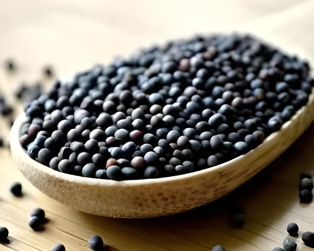 Bulk Black Mustard Seed - Food & Agriculture by Babulal Govindbhai Patel