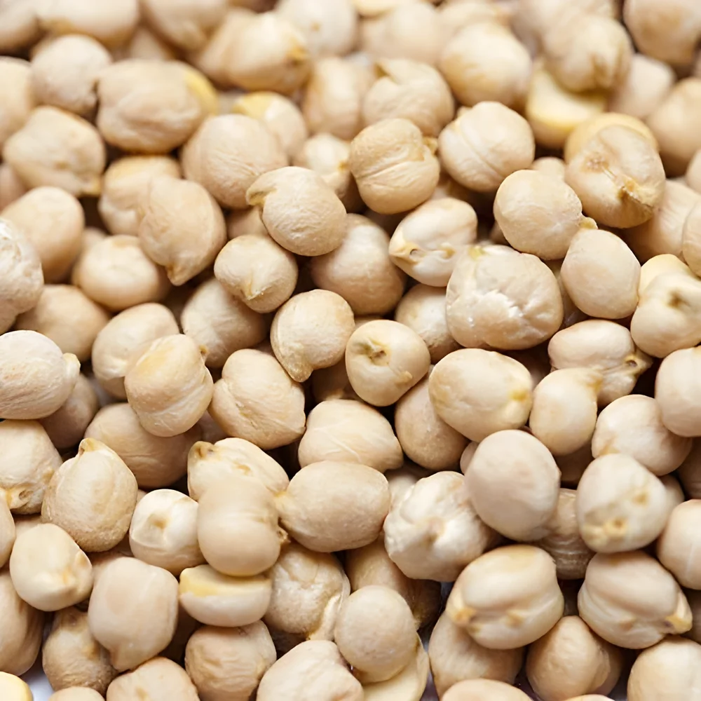 Whole Kabuli Chana for Bulk Supply - Food & Agriculture by Index Karts