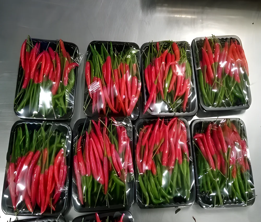 Export Grade Bird's Eye Chillies - Food & Agriculture by Shyamrao Enterprises