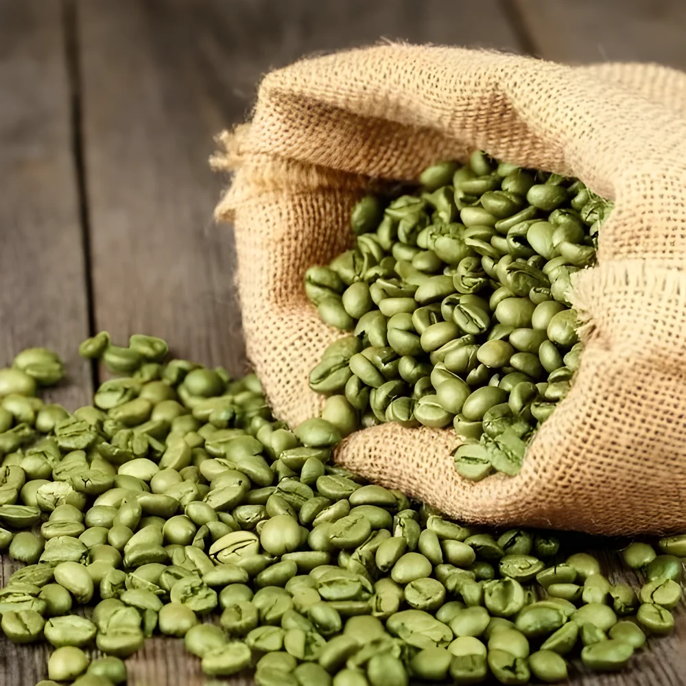 Malnads Estate Graded Arabica Green Coffee Beans - Food & Agriculture by Malnads