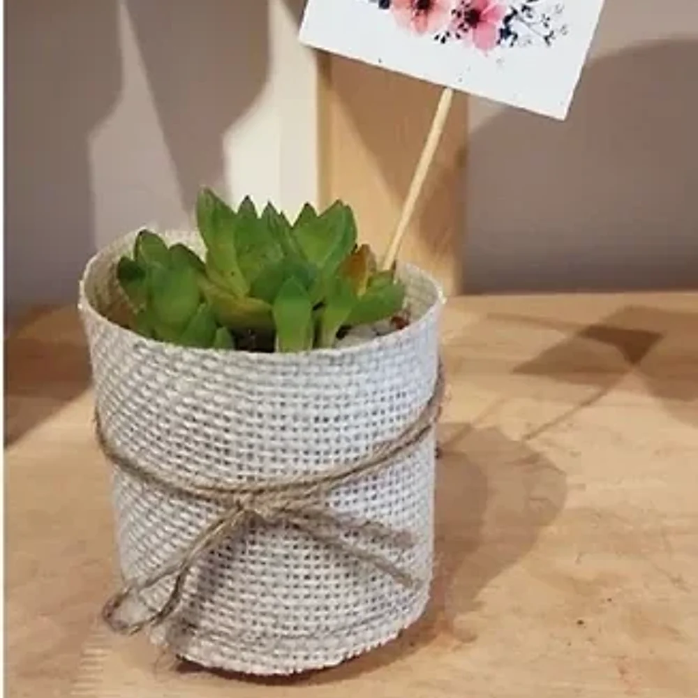 Terracotta Cylindrical Indoor Flowerpot - Home & Kitchen by Cerra and Terra Home Decor