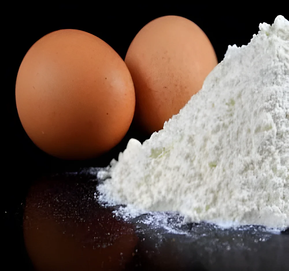 Eggshell Membrane Powder - Food & Agriculture by Shri Vinayaga Traders