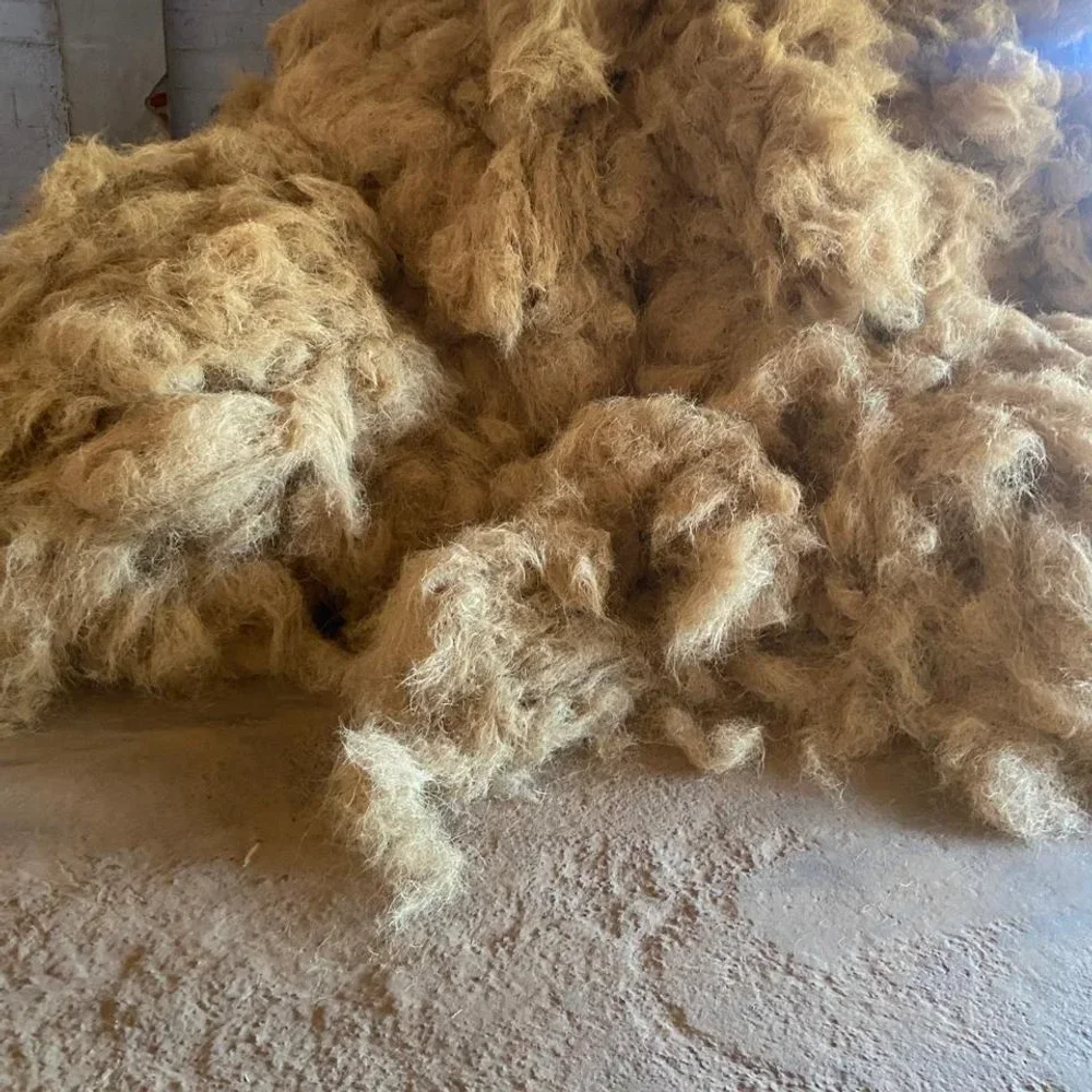 Premium Compressed Coco Fibre Bales - Chemicals & Raw Materials by Glenmex