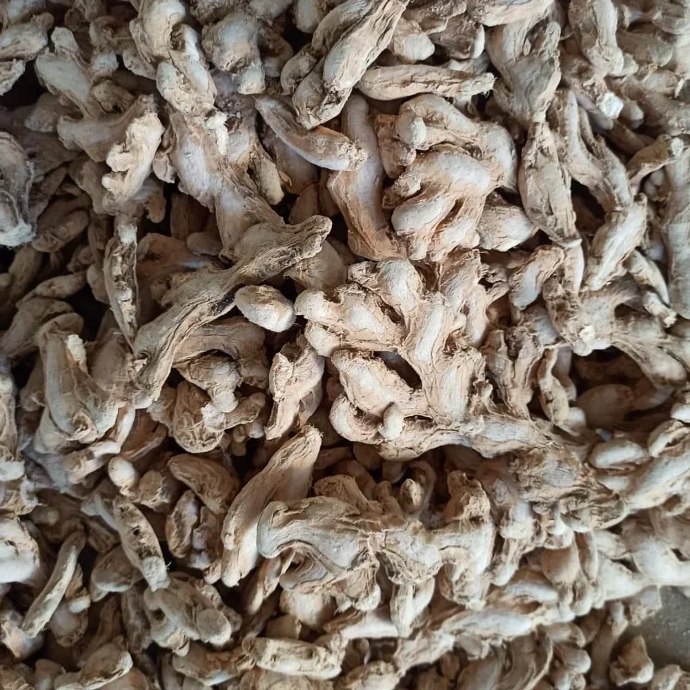 Premium Whole Dry Ginger - Food & Agriculture by Karnataka Ginger International Trader