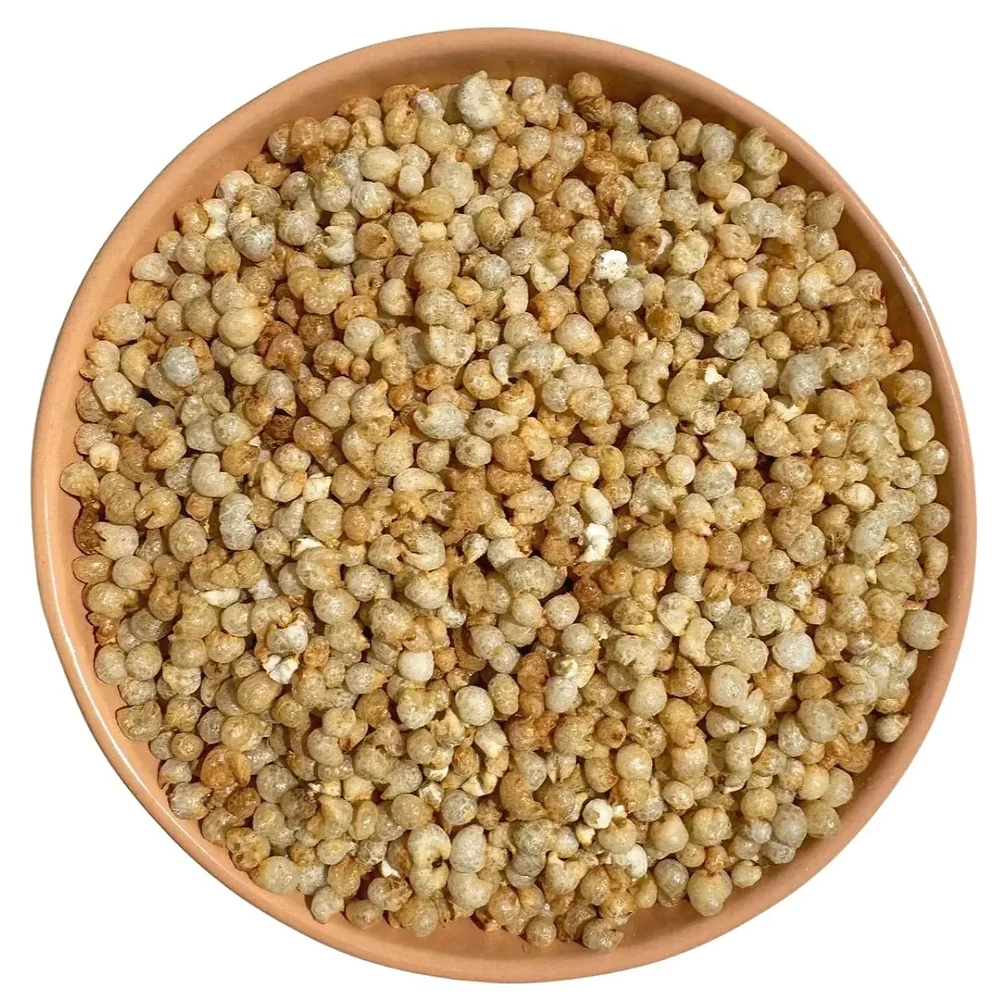 Pearl Millet Bajra - Food & Agriculture by Ali Agri Export