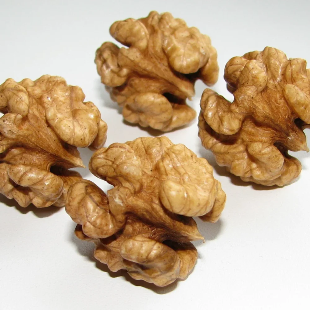Rischh Premium Walnut Kernel - Food & Agriculture by Yashwardhan Trading Pvt. Ltd.