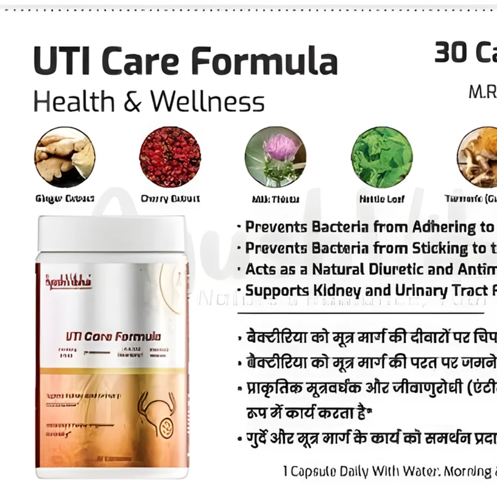 Urinary Tract Support Capsules with Celery Seed Extract - Healthcare & Medical by JM Global Exports