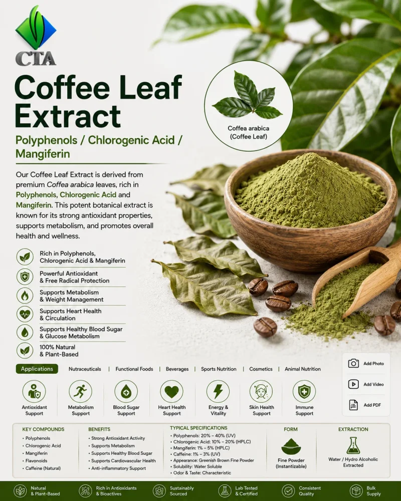 Nutraceutical Grade Coffee Leaf Extract - Food & Agriculture by Central Trade Agency Pvt. Ltd.