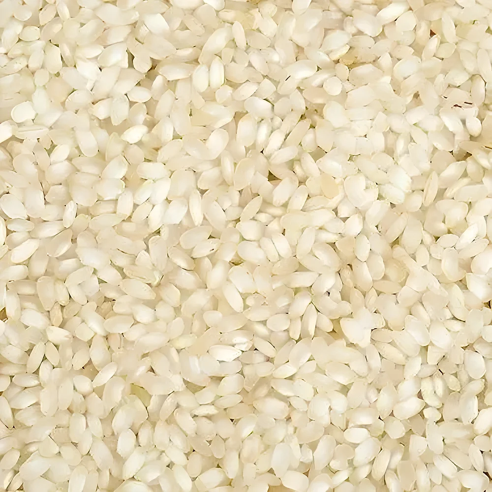 Natural Broken Non Basmati Rice - Food & Agriculture by Oviya Universal LLP