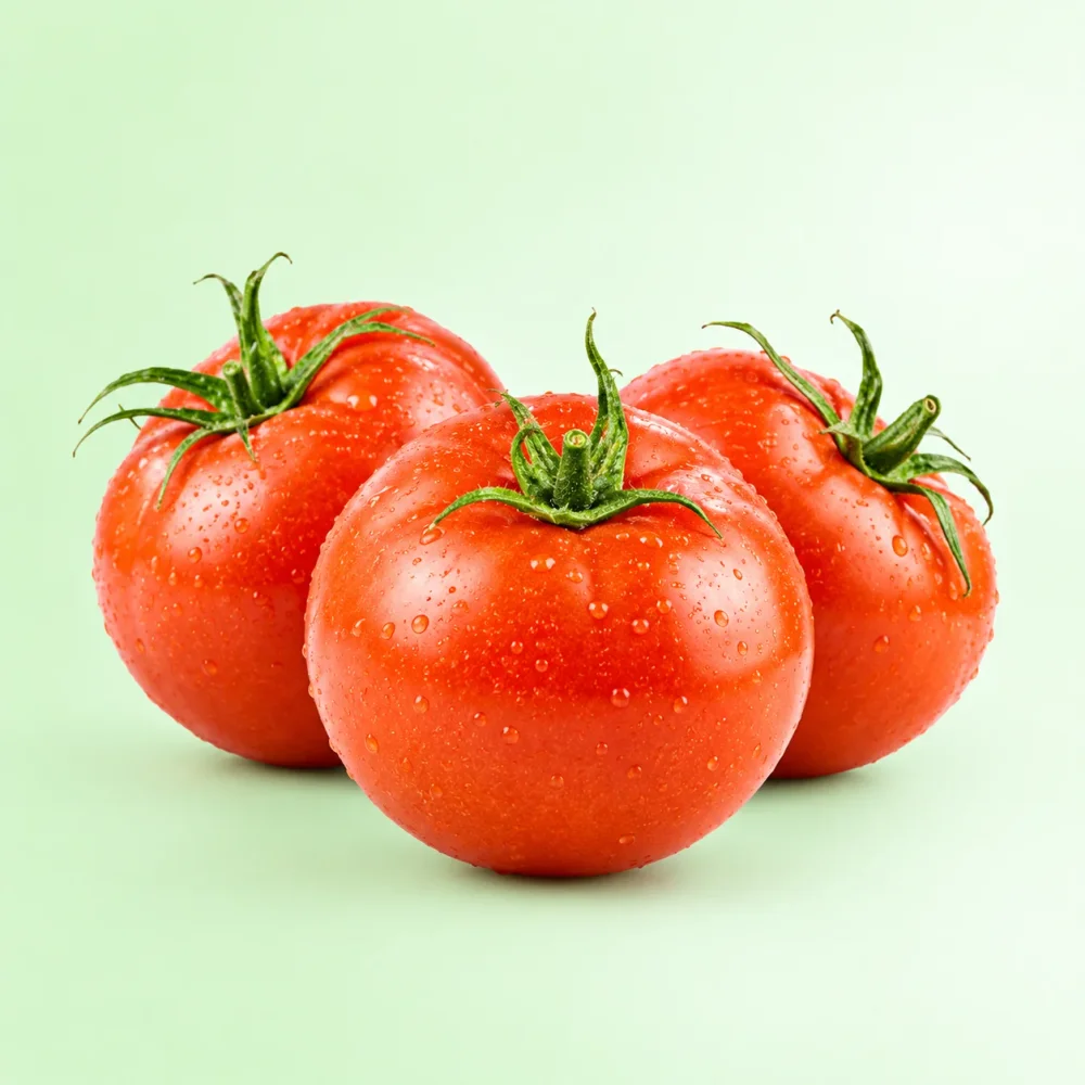 Garden AgroStore Tomato Seeds (50 Seeds) - Food & Agriculture by Vigyat Chemicals Co.