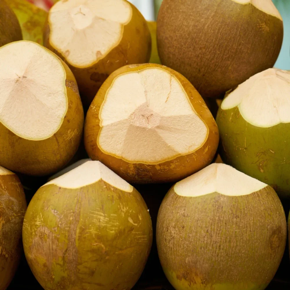 Tender Coconut - Food & Agriculture by RCS Agricultural Products Exports