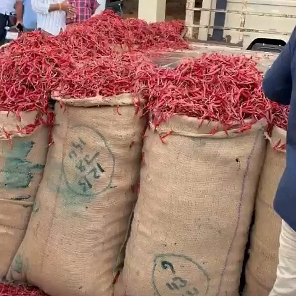Chilli Flakes for Food Processing - Food & Agriculture by KTH Services