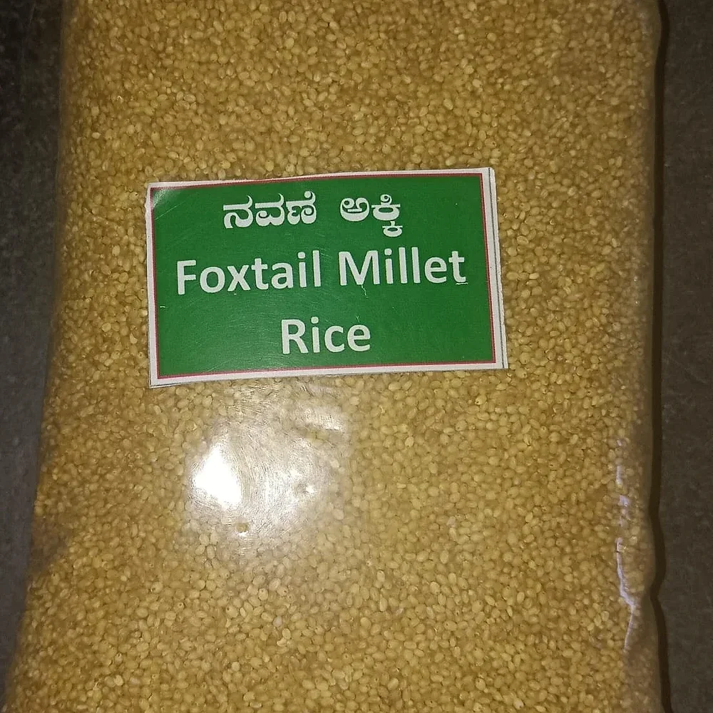 Foxtail Millet - Food & Agriculture by Bhoosiri Millets Farmers Producer Co. Ltd.