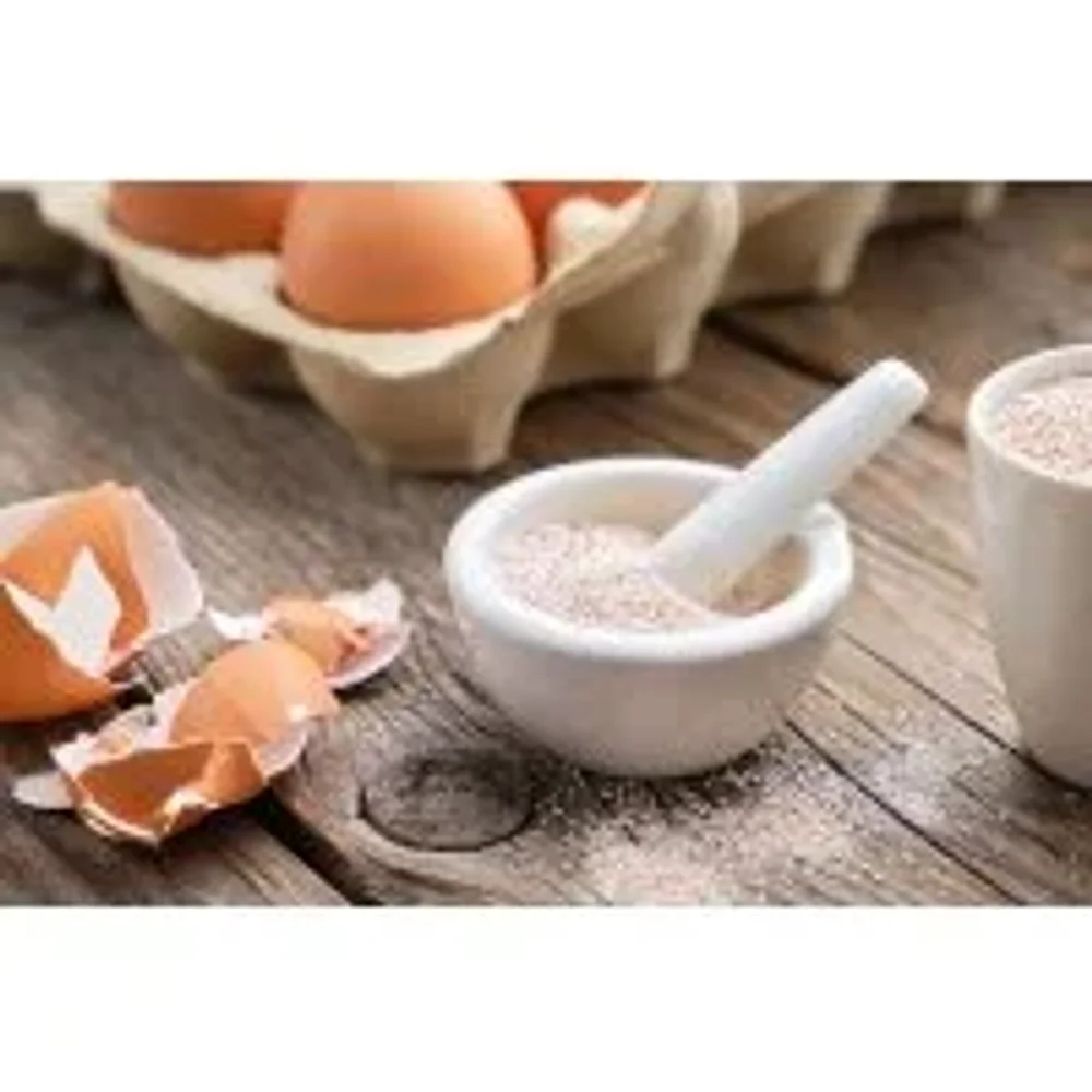 Brown Eggshell Powder - Chemicals & Raw Materials by Shri Vinayaga Traders