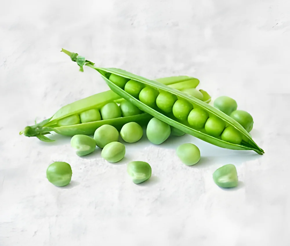 Garden Peas (Export & Wholesale Grade) - Food & Agriculture by Shyamrao Enterprises