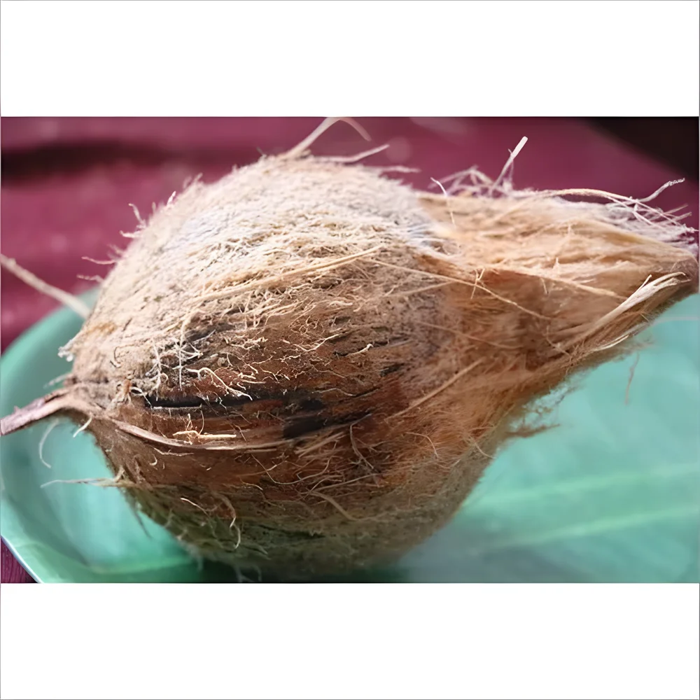 Bulk Semi Husked Coconut - Food & Agriculture by Caresynch Gloabl Pvt. Ltd.