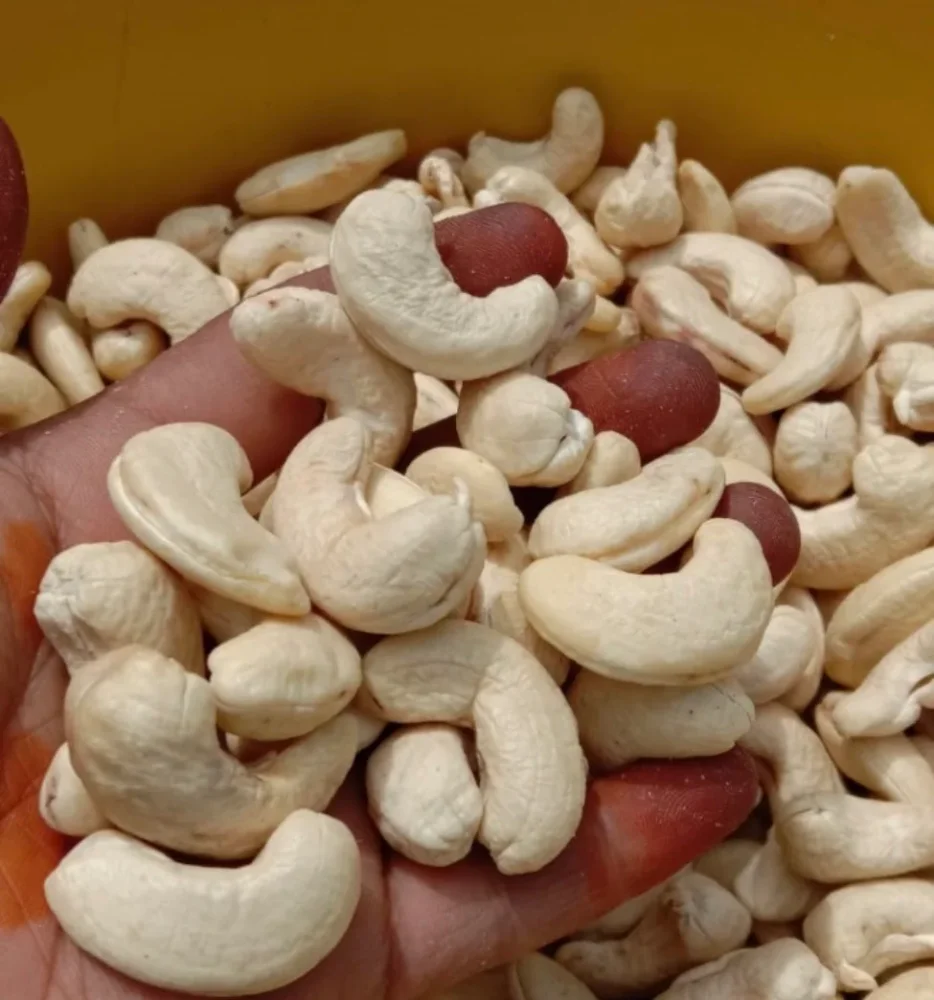 Flavored Cashew Nuts - Food & Agriculture by Al Tayyebaat Foods Pvt. Ltd.