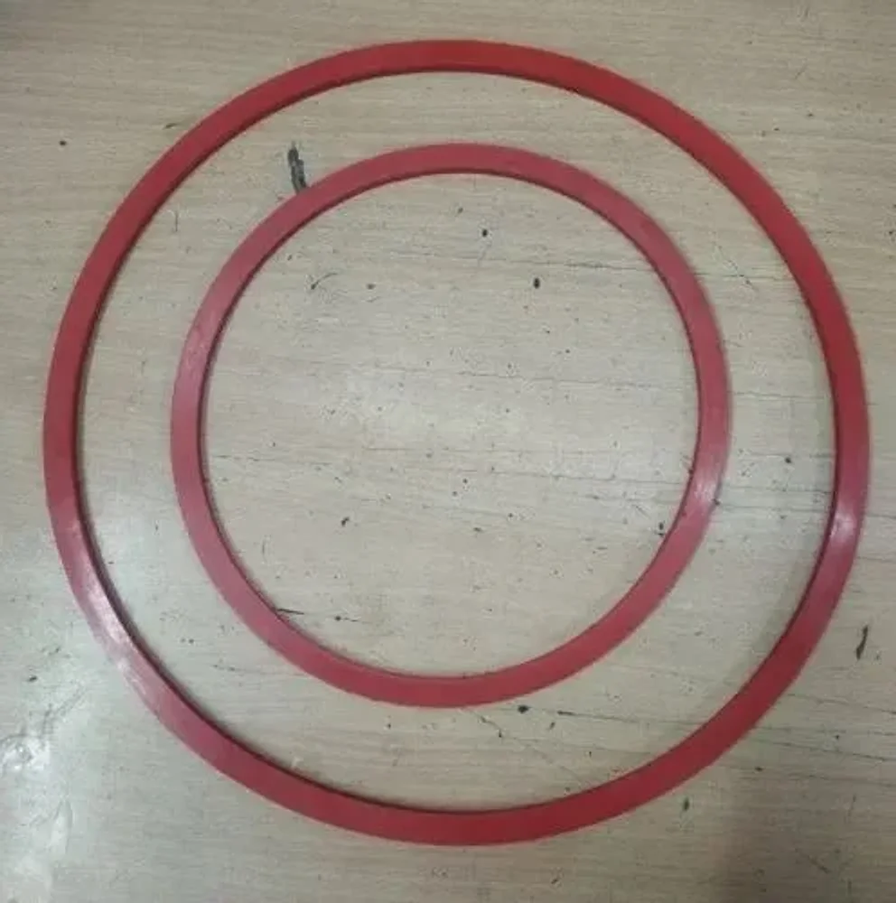 Silicone Autoclave Gasket - Plastics & Rubber by Soni Rubber Corp.