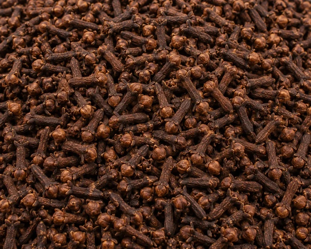 Bulk Dark Brown Cloves - Food & Agriculture by Salaragrand Pvt. Ltd.