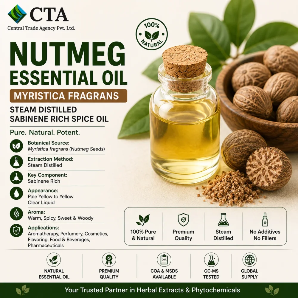 Myristica Fragrans Steam Distilled Nutmeg Essential Oil - Chemicals & Raw Materials by Central Trade Agency Pvt. Ltd.