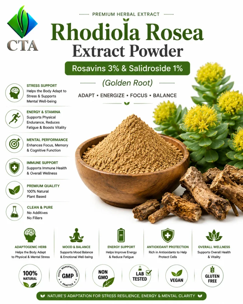 Rhodiola Rosea Root Extract Powder - Salidroside 1-5% - Chemicals & Raw Materials by Central Trade Agency Pvt. Ltd.