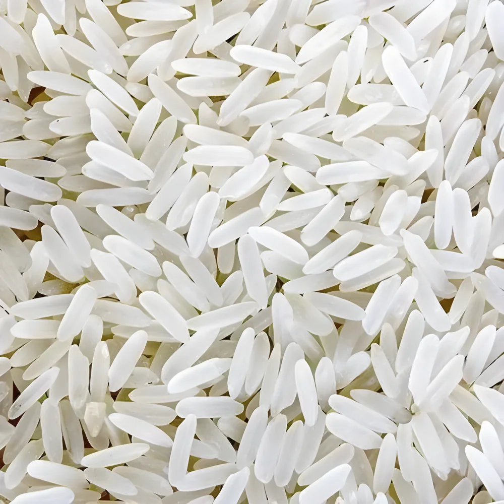 Raw Sona Masuri Rice for Daily Meals - Food & Agriculture by San Trading