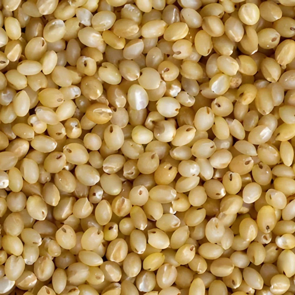 Foxtail Millet Rice - Food & Agriculture by Ikshana Oil and Foods Pvt. Ltd.