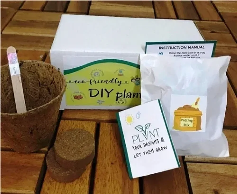 Eco-Friendly Plant Kit Gift Hamper - Handicrafts & Gifts by Cerra and Terra Home Decor