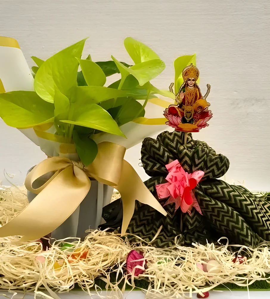Golden Money Plant in Plastic Pot - Food & Agriculture by Cerra and Terra Home Decor