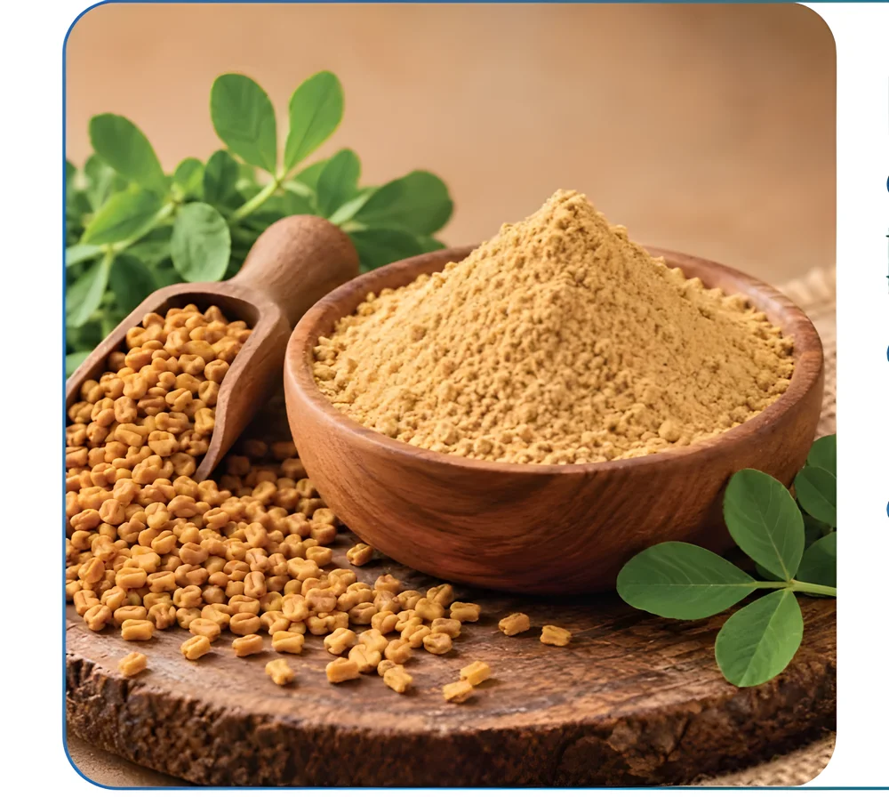Fenugreek Extract Powder - Food & Agriculture by M/S. Riverline Lifesciences & Herbals Pvt. Ltd.