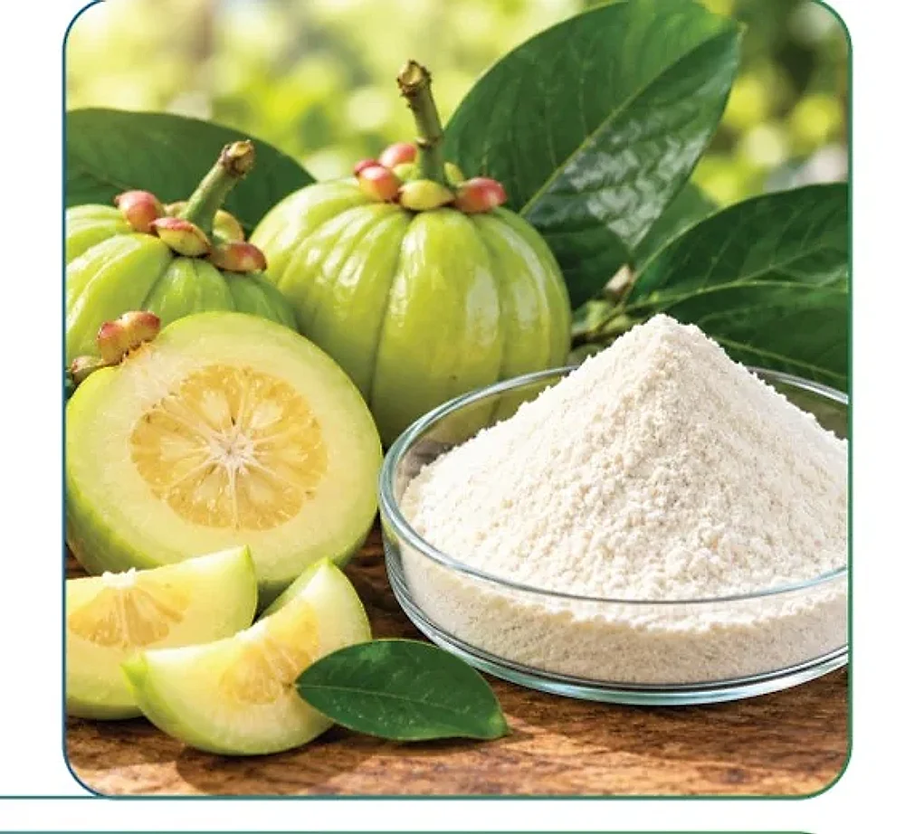 Garcinia Cambogia Fruit Extract Powder - Healthcare & Medical by M/S. Riverline Lifesciences & Herbals Pvt. Ltd.