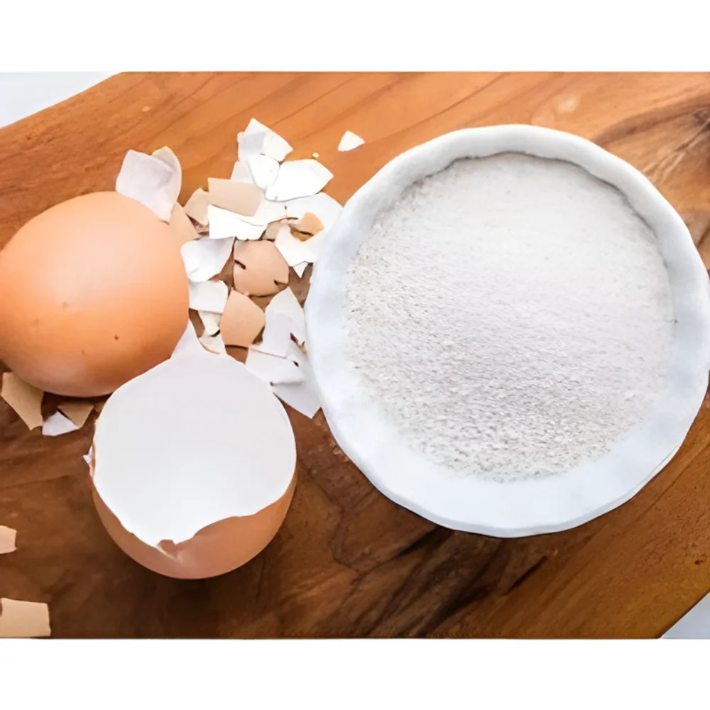 Eggshell Membrane Powder for Nutritional Supplements - Healthcare & Medical by Shri Vinayaga Traders